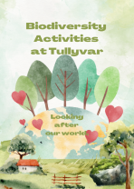 BioBlitz at Tullyvar