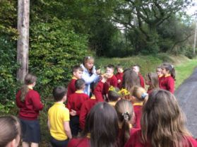 P5-P7 Outdoor Learning