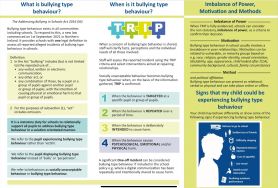 ABSIT Parent Leaflet Print version - Primary Post Primary.pdf