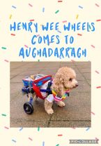 Henry Wee Wheels Visit