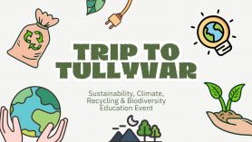 Eco Trip to Tullyvar